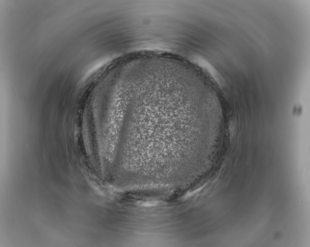 X0000091671064200709061038