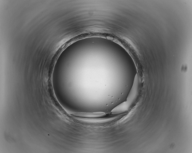 X0000091671065200709061038