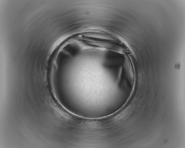 X0000091671066200709061038