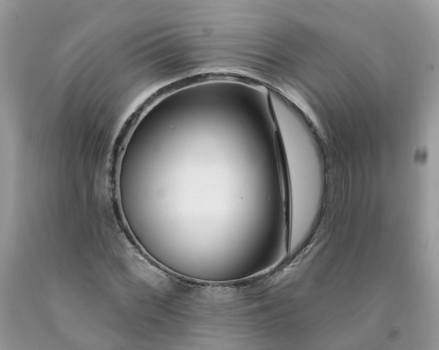 X0000091671068200709061038