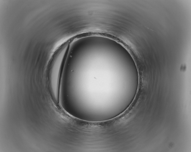 X0000091671070200709061038
