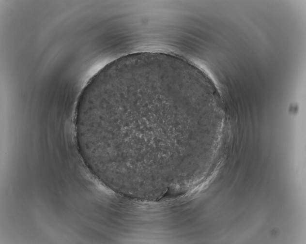 X0000091671071200709061038