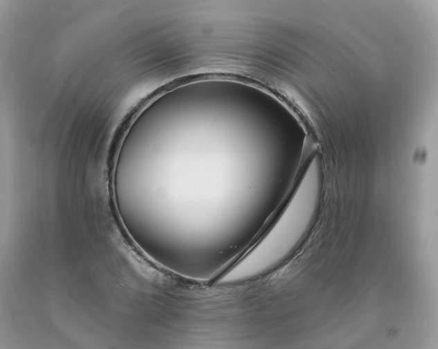 X0000091671072200709061038