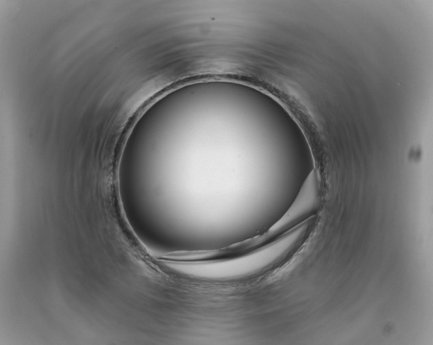 X0000091671073200709061038
