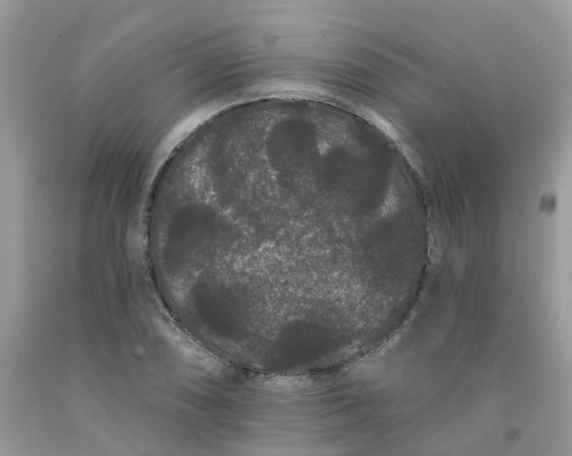X0000091671074200709061038