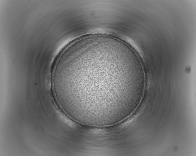 X0000091671075200709061038
