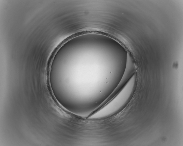 X0000091671076200709061038