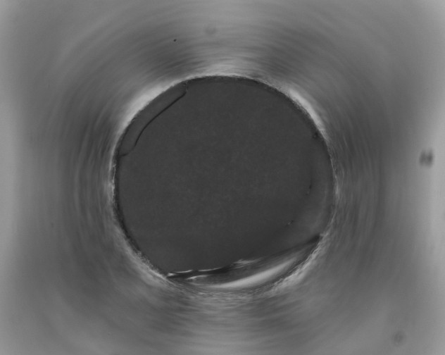 X0000091671077200709061038