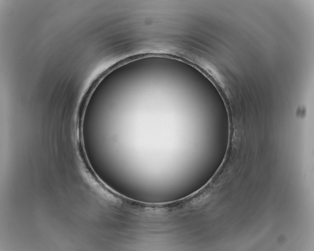X0000091671080200709061038