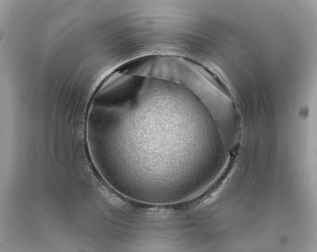X0000091671081200709061038