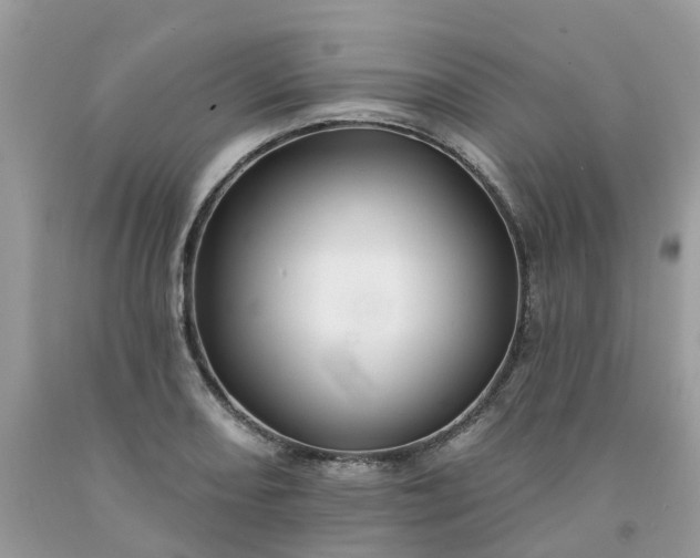 X0000091671082200709061038