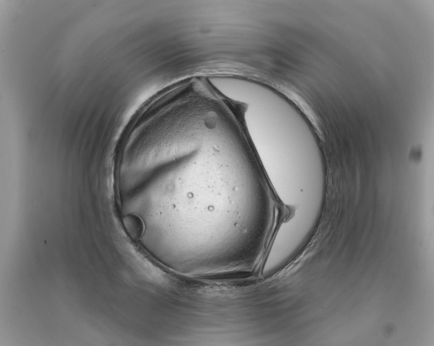 X0000091671083200709061038