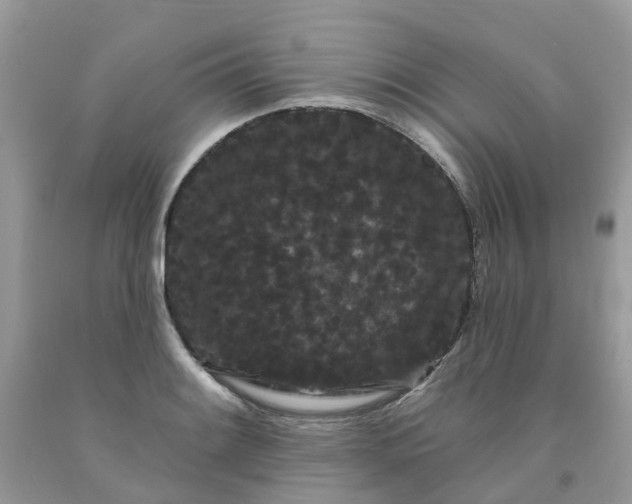 X0000091671084200709061038