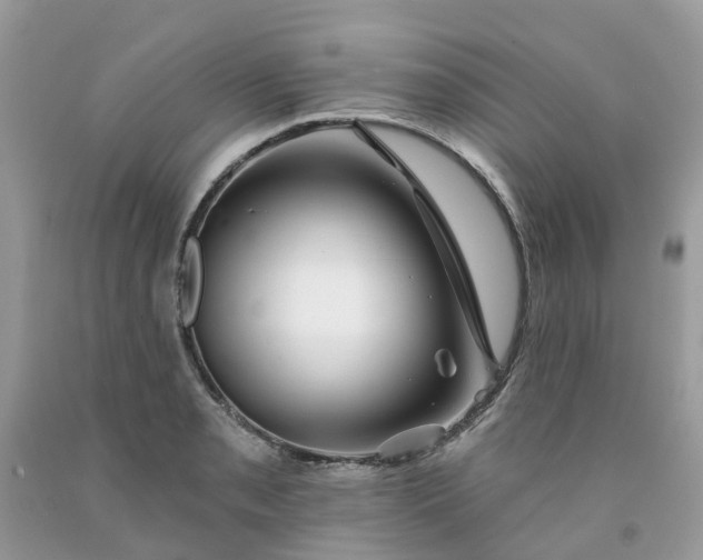 X0000091671085200709061038