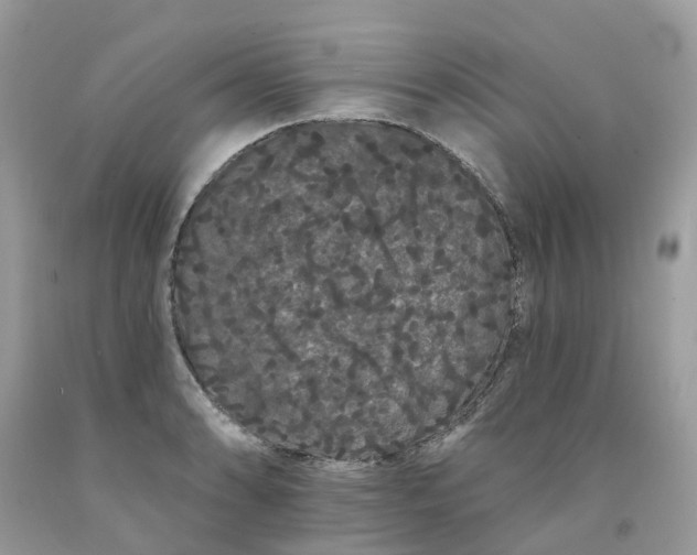 X0000091671086200709061038