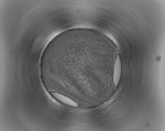 X0000091671087200709061038