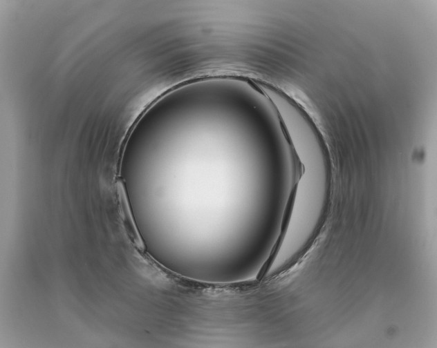 X0000091671089200709061037