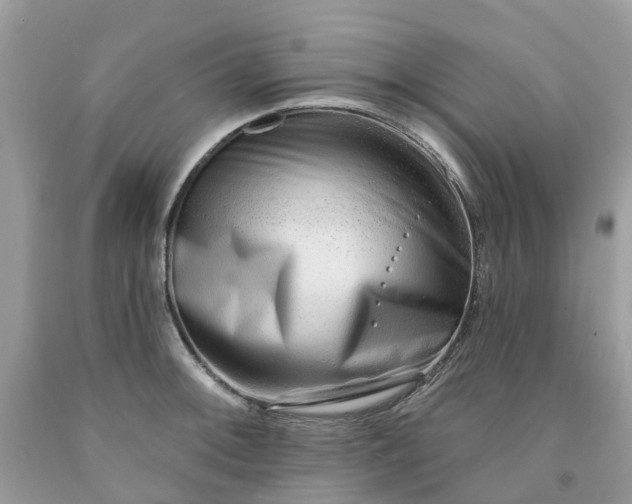 X0000091671092200709061037