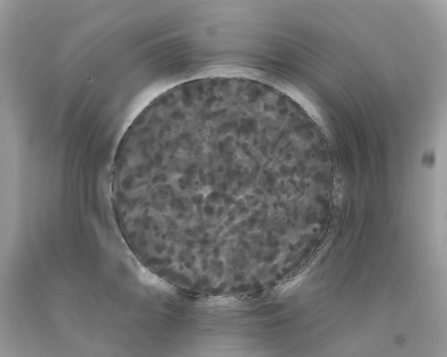 X0000091671094200709061037
