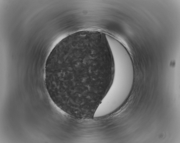 X0000091671095200709061037