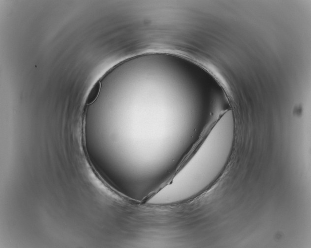 X0000091671100200709061037