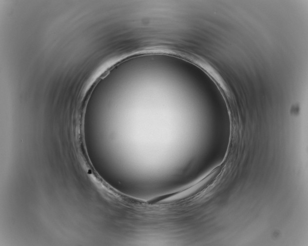 X0000091671101200709061037