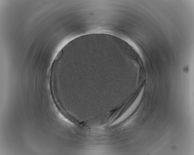 X0000091671102200709061037