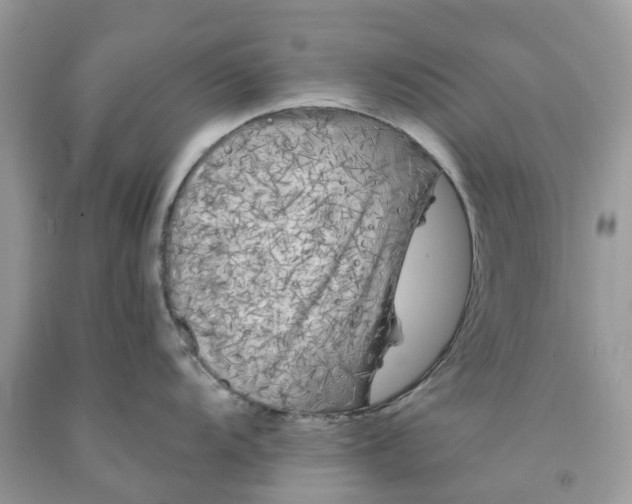 X0000091671104200709061037