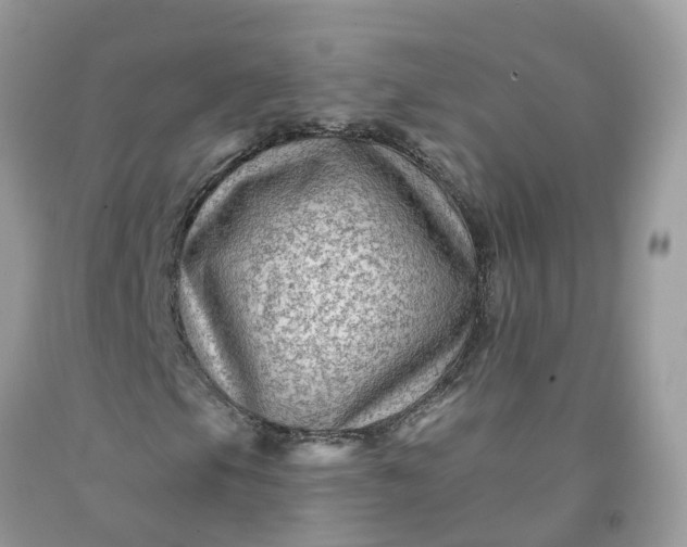 X0000091671105200709061037