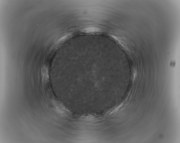 X0000091671106200709061037
