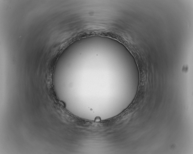 X0000091671109200709061037