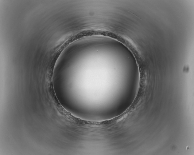 X0000091671110200709061037