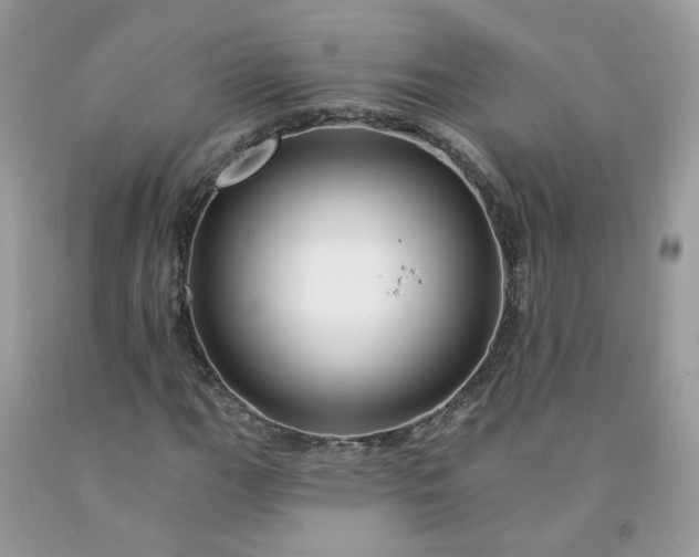X0000091671111200709061037