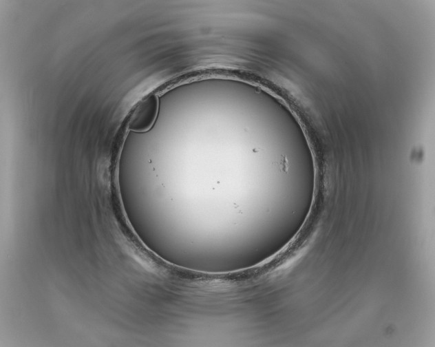 X0000091671113200709061037