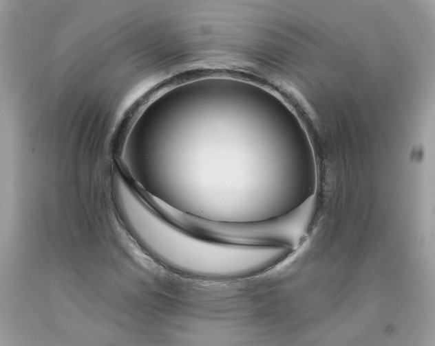 X0000091671114200709061037