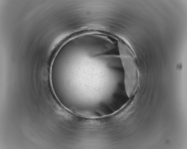 X0000091671115200709061037