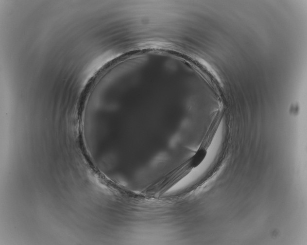 X0000091671117200709061037