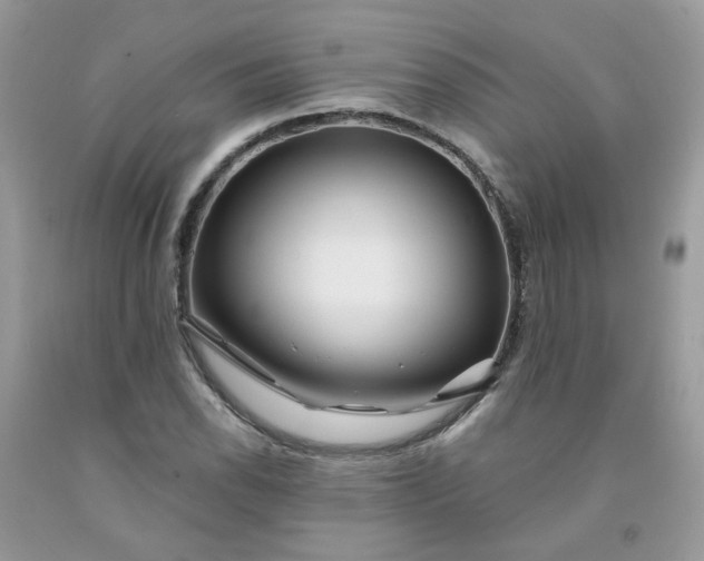 X0000091671118200709061037