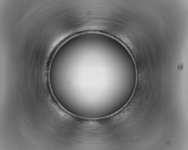 X0000091671119200709061037