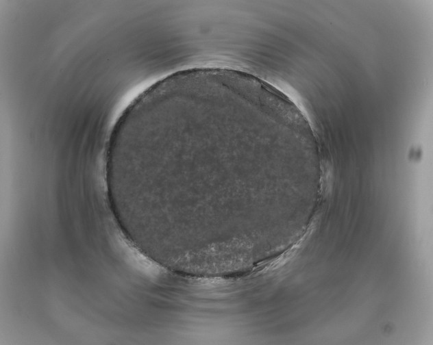 X0000091671120200709061037