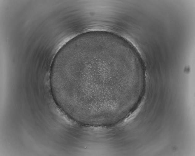 X0000091671121200709061037