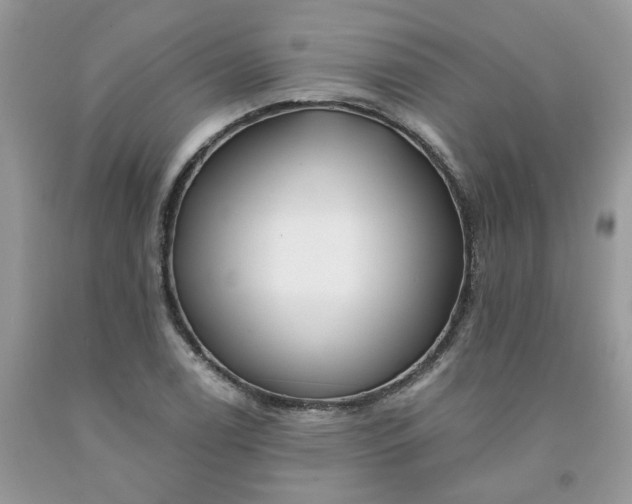 X0000091671122200709061037
