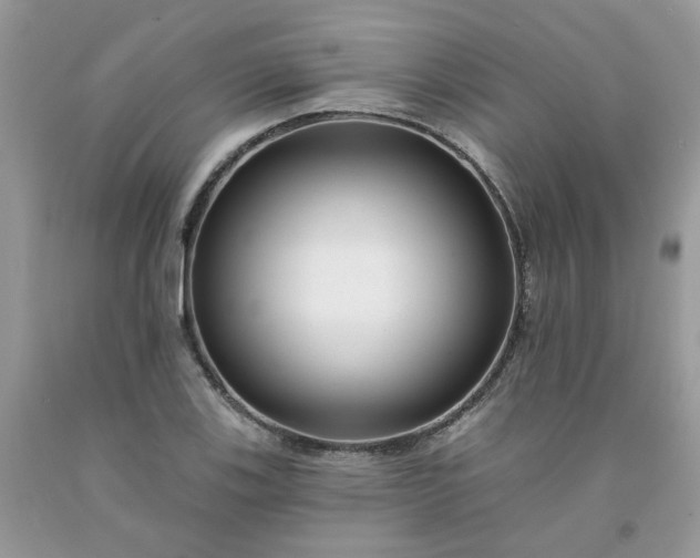 X0000091671123200709061037