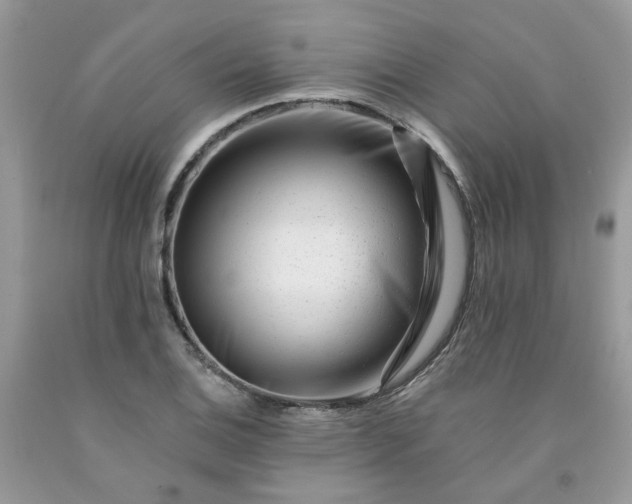 X0000091671124200709061037