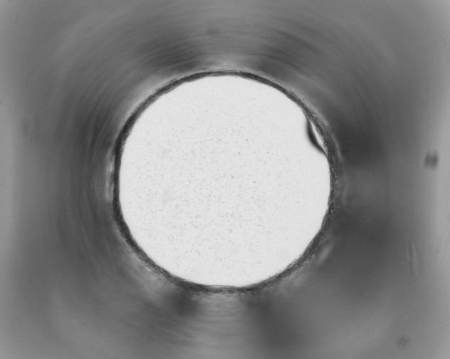 X0000091671126200709061037