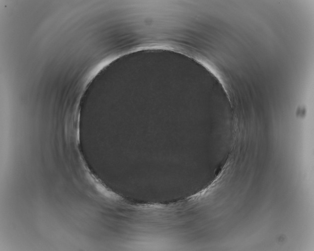 X0000091671127200709061037