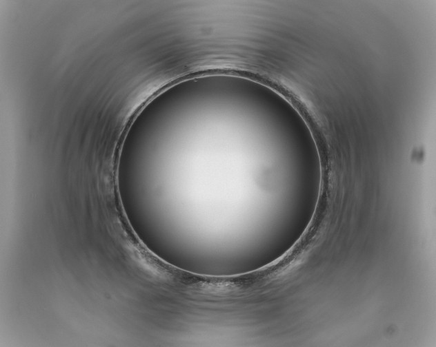 X0000091671129200709061037