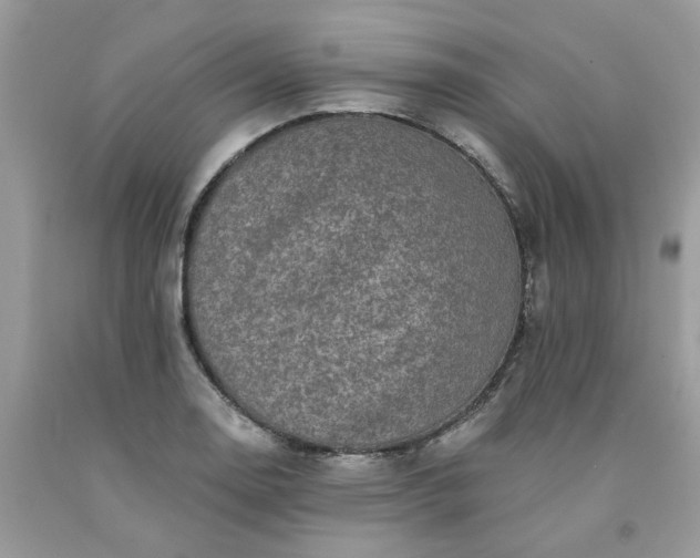 X0000091671130200709061037