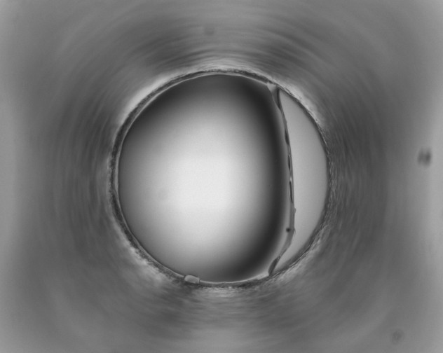 X0000091671134200709061037