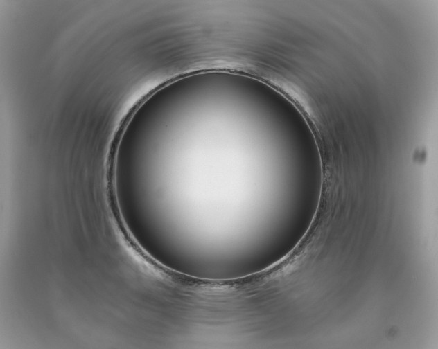 X0000091671135200709061037